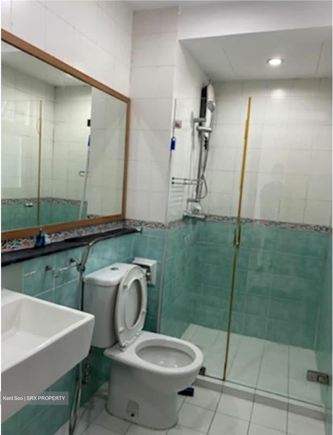 The Floravale (D22), Condominium #568885891